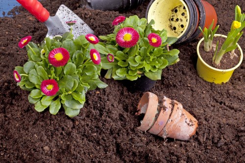 Gardening service introduction for Marks Gate outdoor spaces