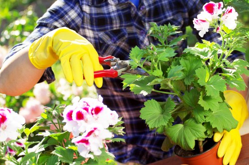 Illustration of a gardener reviewing a complaint form