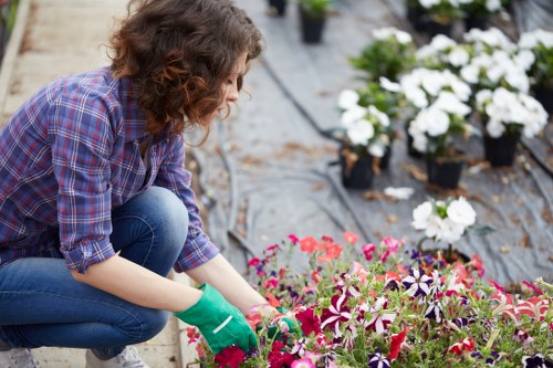 Professional garden maintenance in Marks Gate with tidy lawn and shrubs