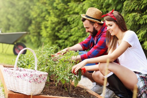 Professional garden maintenance and landscaping care in Marks Gate