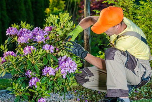 Garden maintenance in Marks Gate with tidy lawn and shrubs