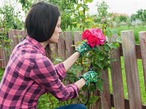 Marks Gate gardener assessing site safety before work