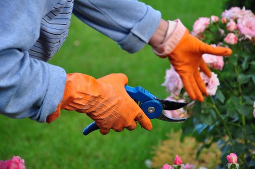 Safe tree removal service in Marks Gate with rigging equipment