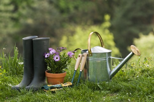 Visual of garden service issue assessment and resolution