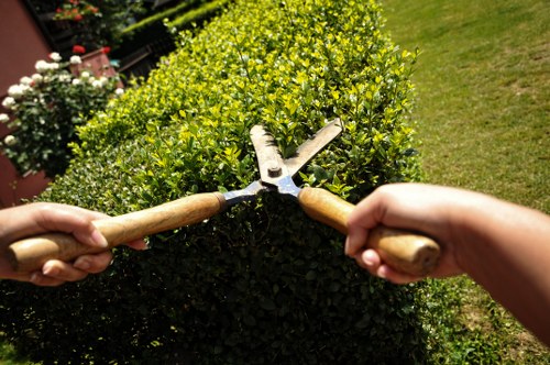 Image representing a formal gardening service complaints process
