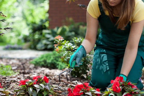 Safe tree cutting and branch management in Marks Gate