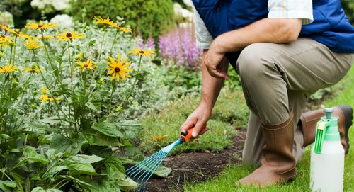 Garden upkeep in Marks Gate improving curb appeal and outdoor space