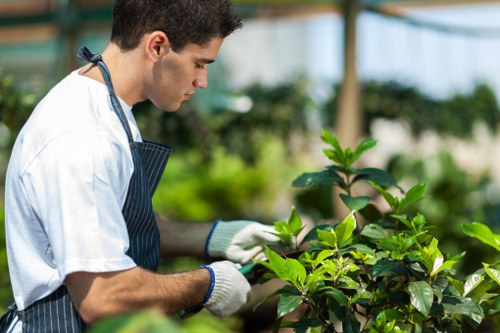 Seasonal garden maintenance in Marks Gate including trimming and weed control