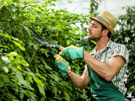 Professional lawn care in Marks Gate with mowing, feeding, and weed control