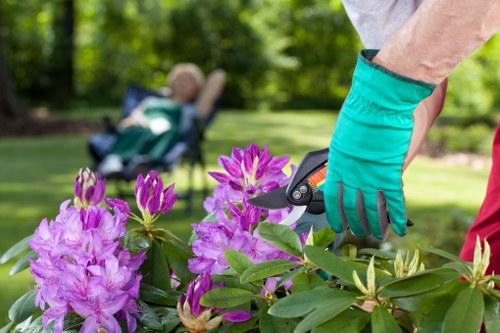Local hedge maintenance improving a front garden