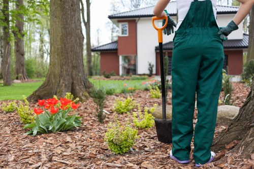Seasonal garden upkeep and lawn care in Marks Gate