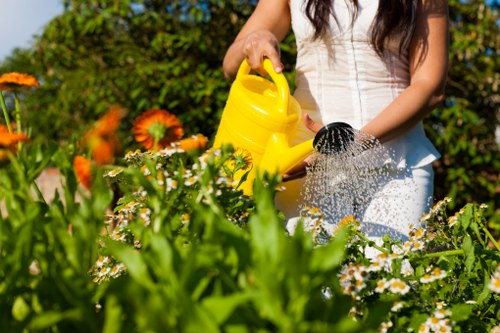 Deck maintenance and care for long-lasting decking in Marks Gate