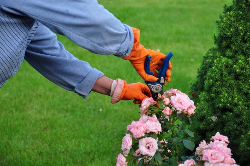 Supplier due diligence and risk assessment for Gardeners Marks Gate