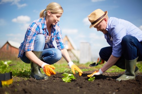 Eco-friendly garden maintenance in Marks Gate with neat lawn and hedges