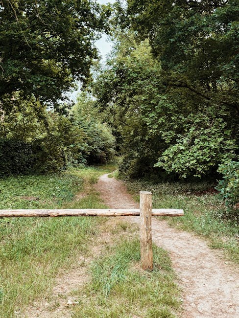 A dirt footpath extends into a lush, green woodland area near Hainault Forest Country Park, with dense trees and bushes creating a canopy overhead. The path is bordered by grass and soil, with a simpl