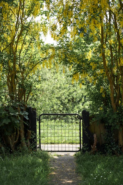 A dirt footpath extends into a lush, green woodland area near Hainault Forest Country Park, with dense trees and bushes creating a canopy overhead. The path is bordered by grass and soil, with a simpl